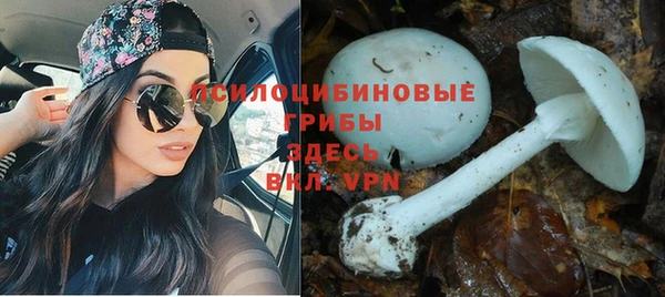 ALPHA PVP Арсеньев