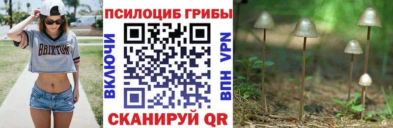 Псилоцибиновые грибы MAGIC MUSHROOMS  что такое   Меленки 